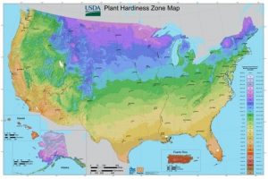 USA Map with Heat Index