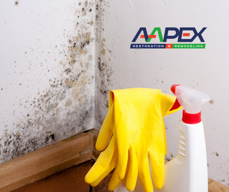 proper mold removal