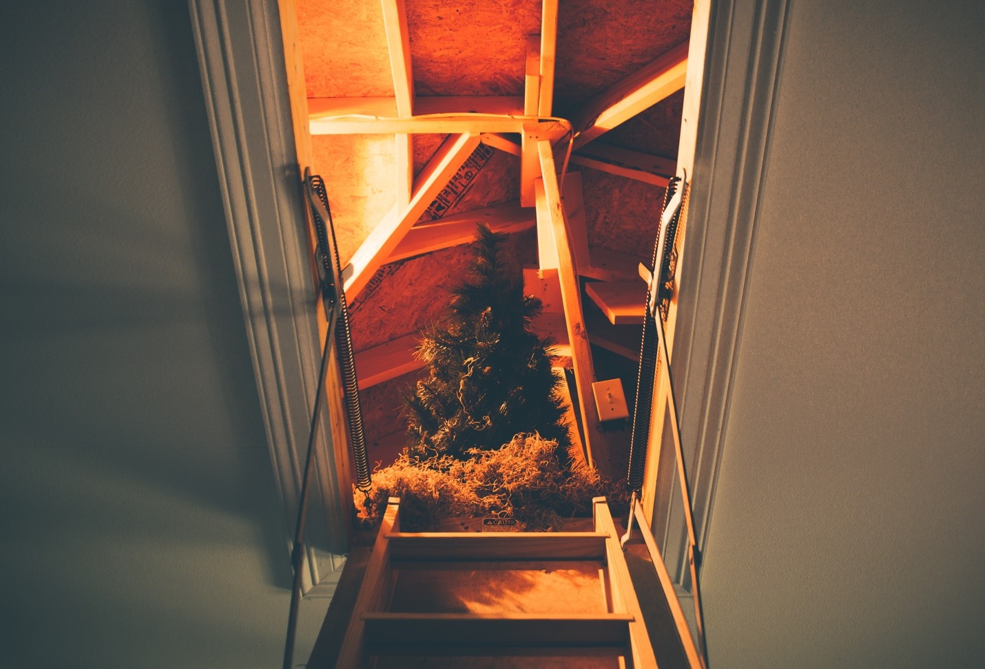 Can I Convert My Attic for Additional Storage? Aapex Construction and