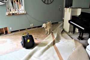 Drying out carpet for water damage restoration