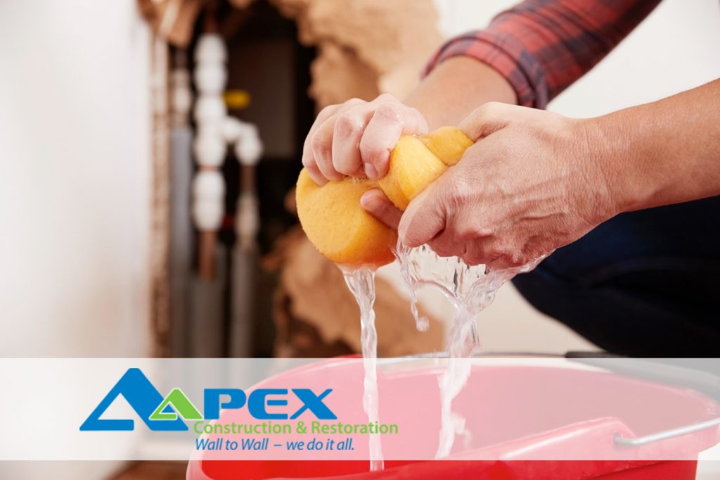 Water Damage Restoration Contractors