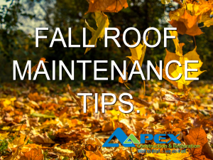Fall Fall Leaves with text Roofing Maintenance Tips