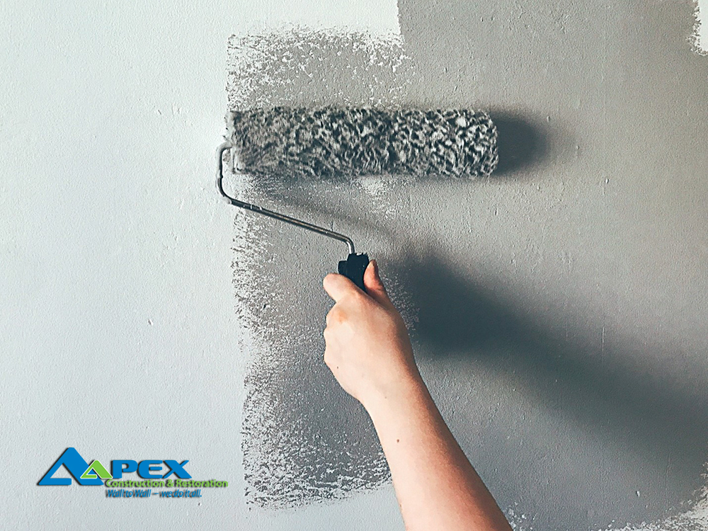 Interior house paint trends
