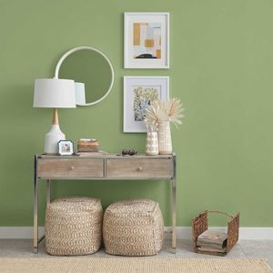 Glidden guacamole color walls