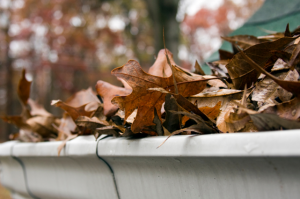 poorly maintained gutters