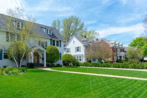 larger trees near foundation in suburbs