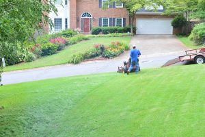 Graded soil - Landscaping tip