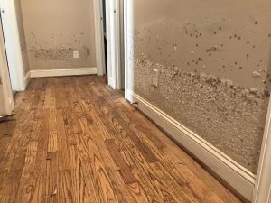 water-damaged-walls