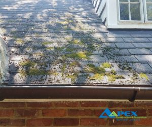 Mossy house roof with Aapex logo in bottom right.
