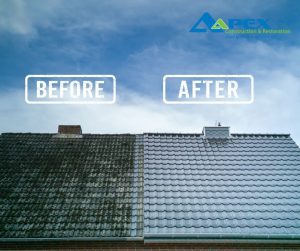 Before and after roof cleaning image. One roof is dirty and and the other is clean.