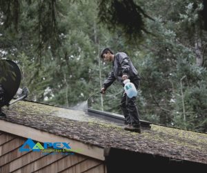 Man cleaning a mossy house roof by spraying on a substance.