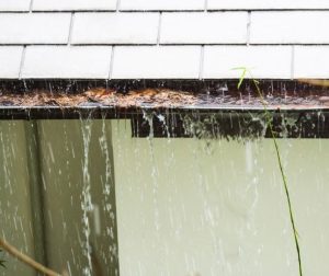 Overflowing gutters