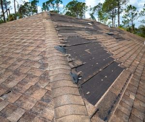 Damaged shingle roof