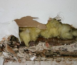 Extreme water damage causing wall to fall apart