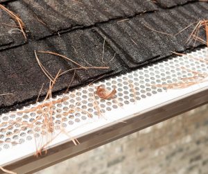 Gutter guard blocking debris.