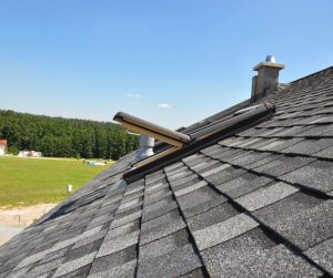 asphalt shingles