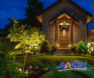 Shed and trees with exterior lighting tactics employed. Aapex logo bottom right.