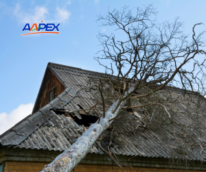 A tree fallen onto a roof of a house, causing damage.